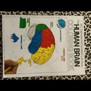 Anatomy/Human Brain Coloring Book